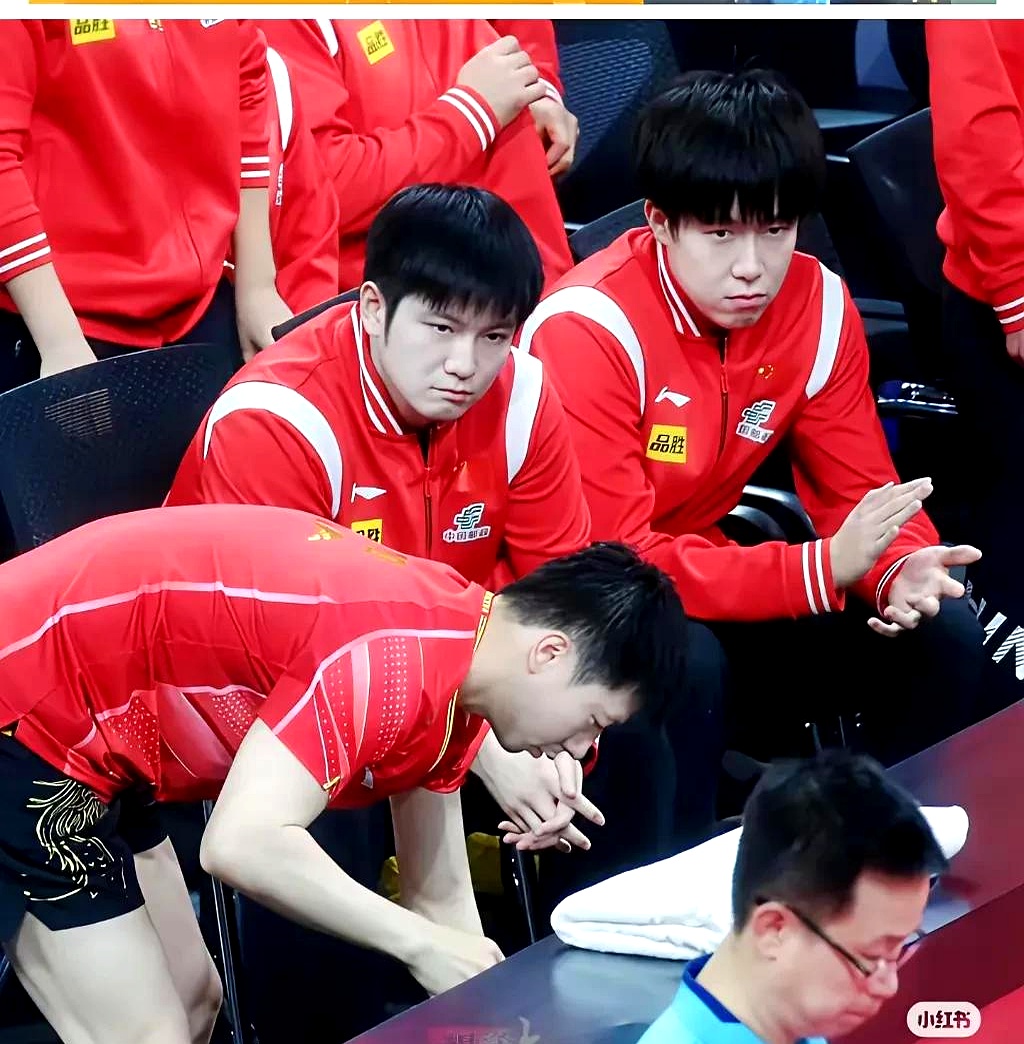 参赛选手势均力敌，谁与争锋的简单介绍